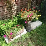 Paradiso Ca' Giulia 公寓 威尼斯