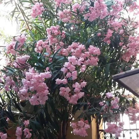 아파트 Paradiso Ca' Giulia