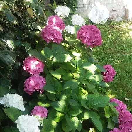 Paradiso Ca' Giulia