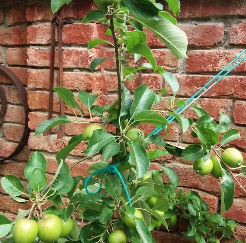 Paradiso Ca' Giulia アパート ヴェネツィア