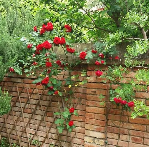 Paradiso Ca' Giulia Wenecja