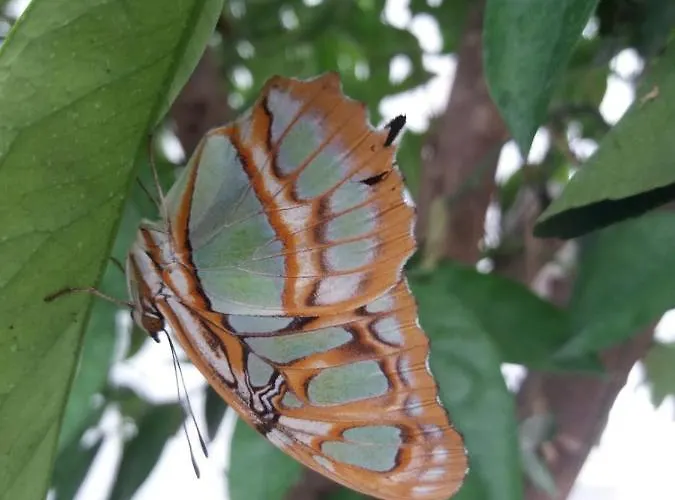 Paradiso Ca' Giulia Apartman Velence