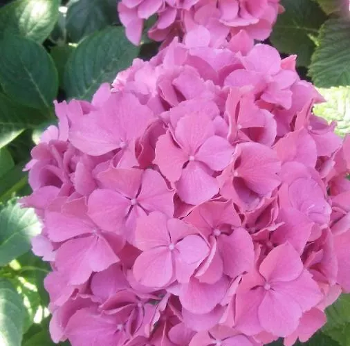 Paradiso Ca' Giulia *